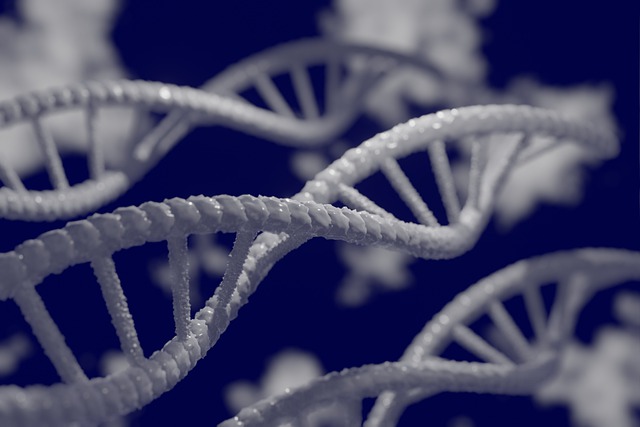 lidská DNA – model 3D